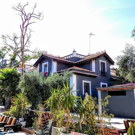Nwt Paradise Urban Hostel لقنت المظهر الخارجي الصورة