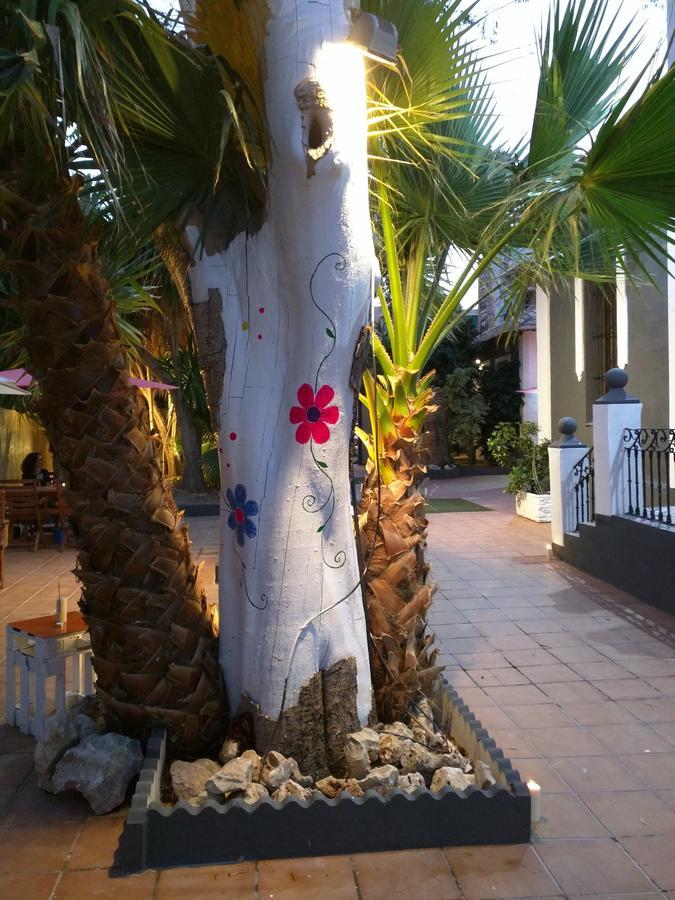 Nwt Paradise Urban Hostel لقنت المظهر الخارجي الصورة