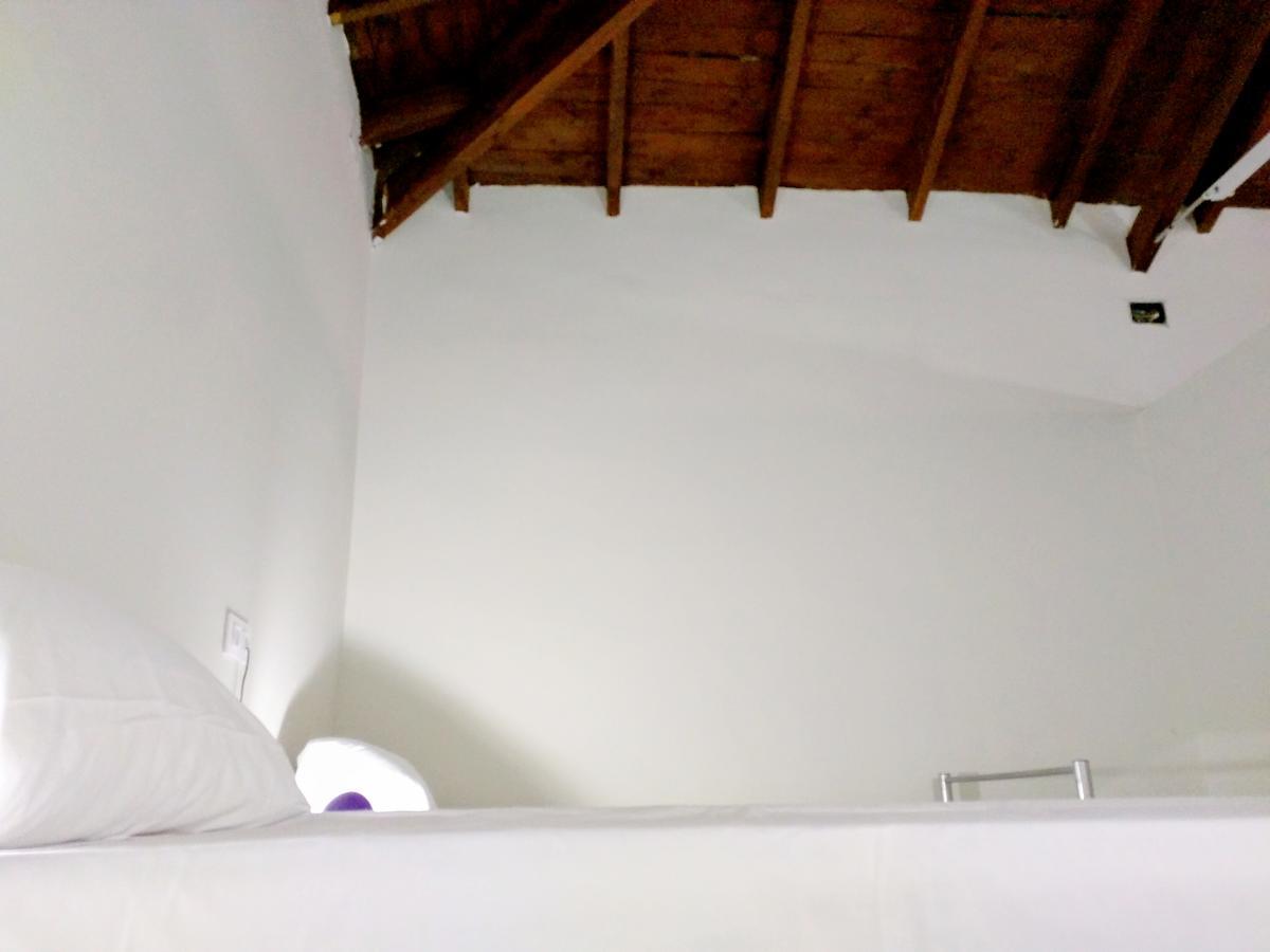 Nwt Paradise Urban Hostel لقنت المظهر الخارجي الصورة
