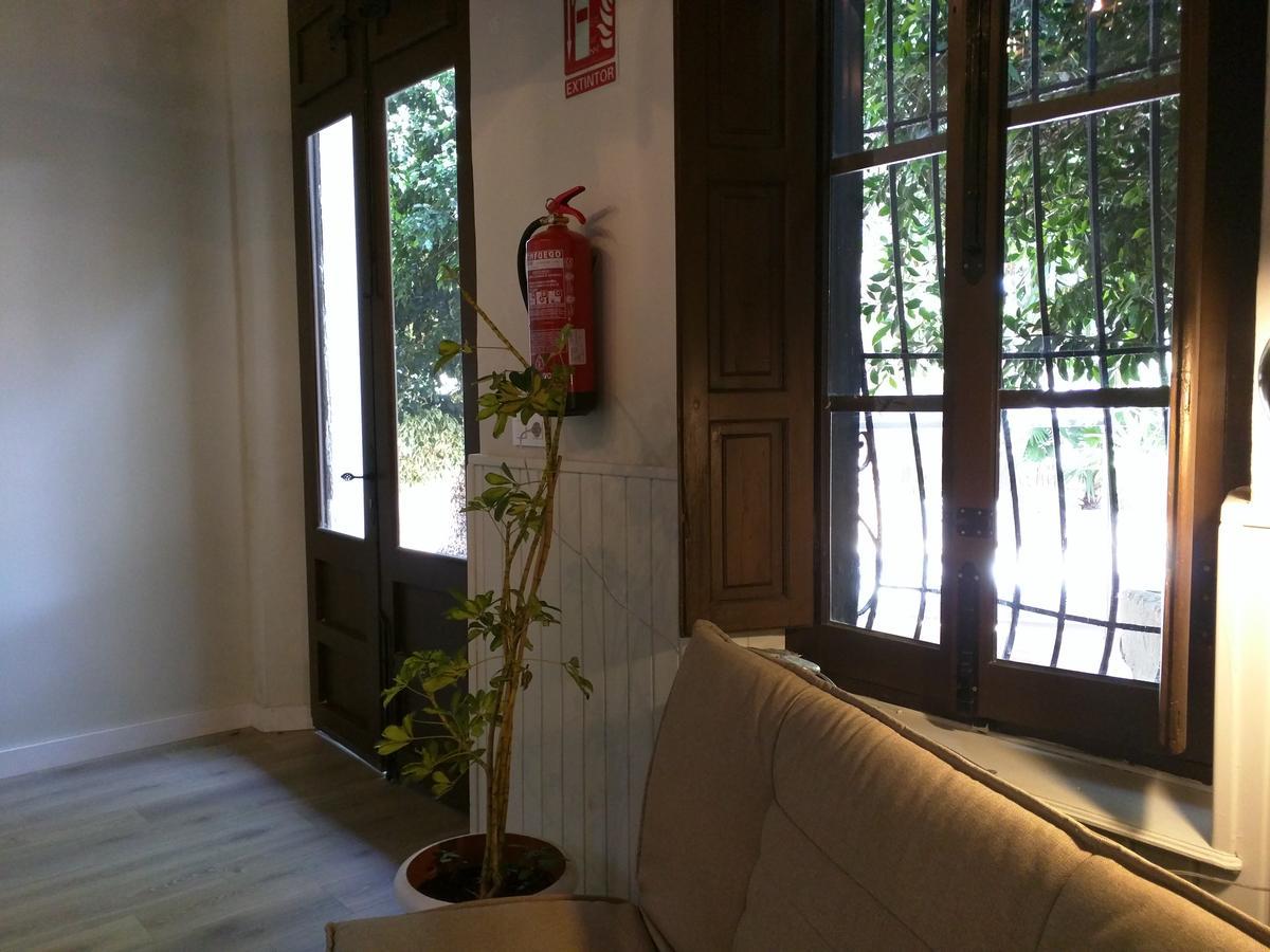 Nwt Paradise Urban Hostel لقنت المظهر الخارجي الصورة